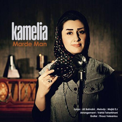 دانلود آهنگ مرد من